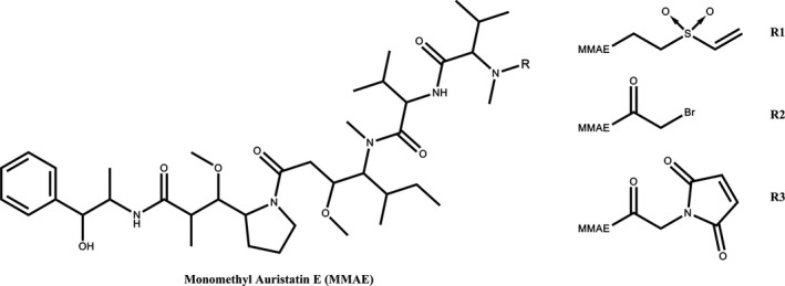 FIGURE 1