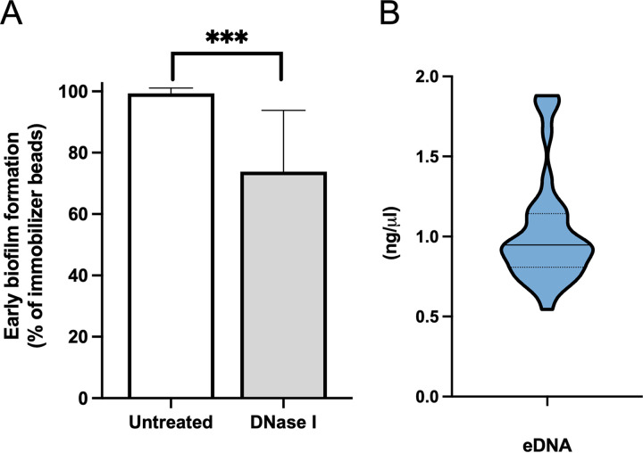 FIG 4