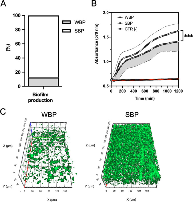 FIG 2