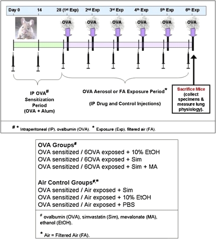 Scheme 2.