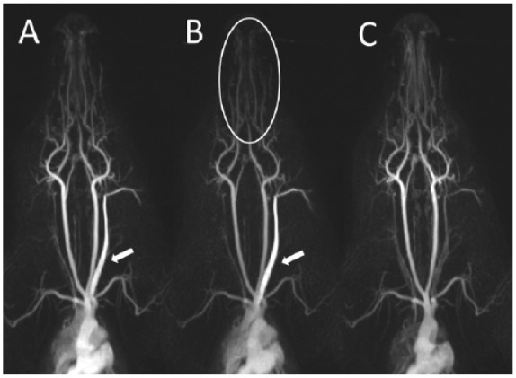 Figure 5.