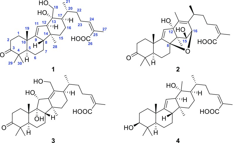 Fig. 1