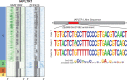 Figure 1—figure supplement 3.