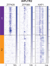 Figure 1—figure supplement 4.