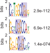 Figure 2—figure supplement 4.