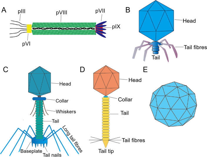 Fig. 3