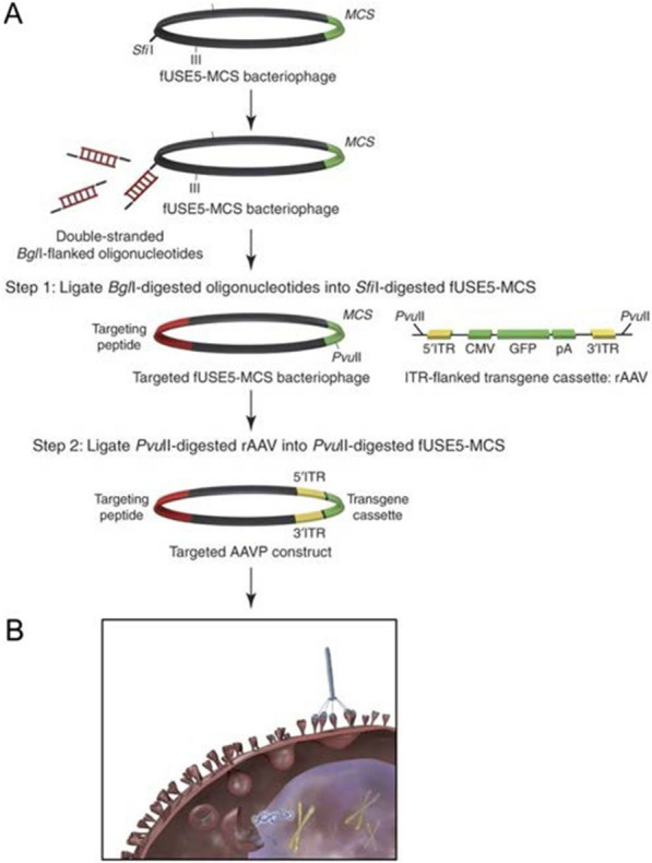 Fig. 2