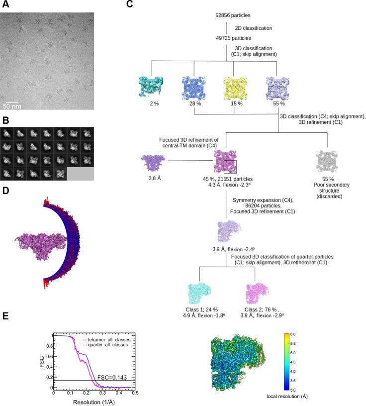 Figure 1—figure supplement 4.