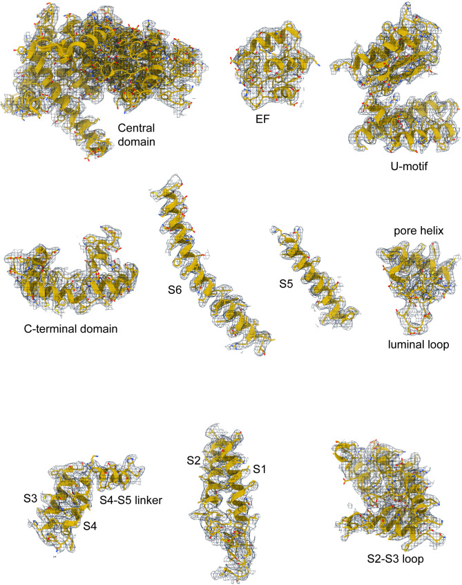 Figure 1—figure supplement 2.