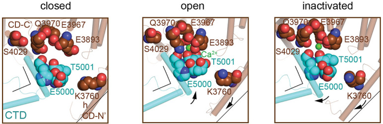 Figure 2—figure supplement 1.