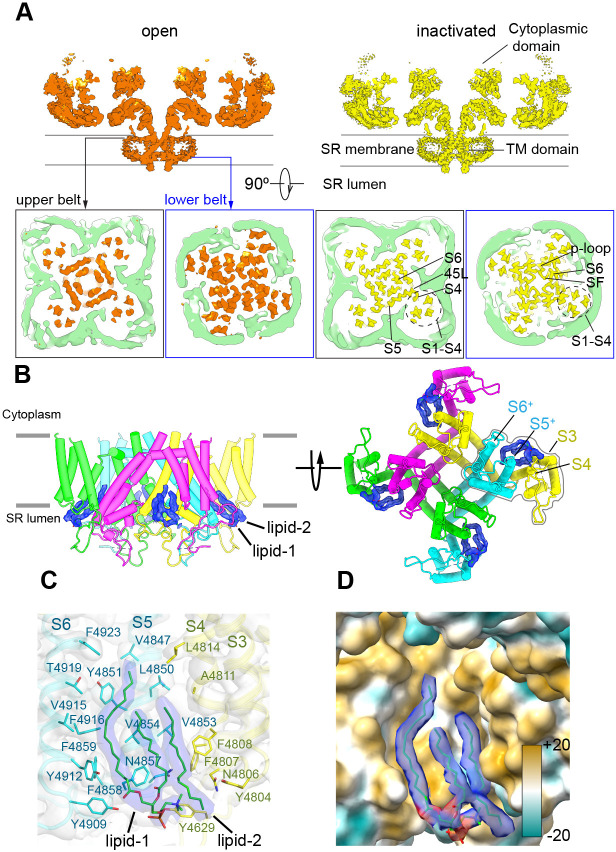 Figure 5.