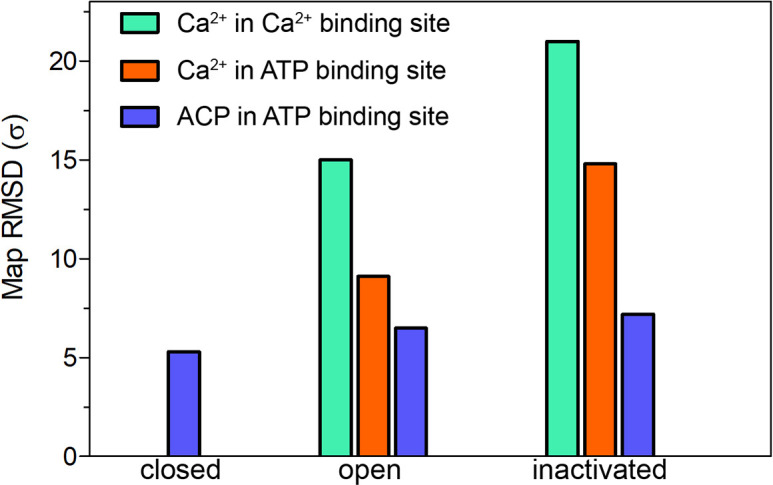 Figure 4—figure supplement 1.