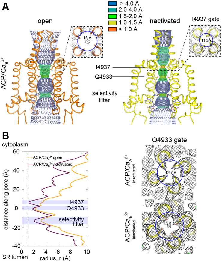 Figure 1—figure supplement 5.