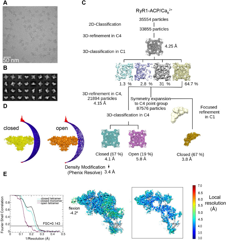 Figure 1—figure supplement 3.