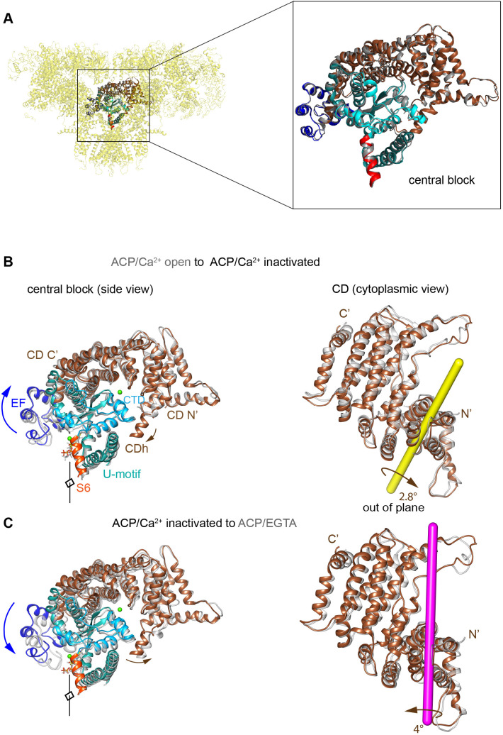 Figure 2—figure supplement 2.