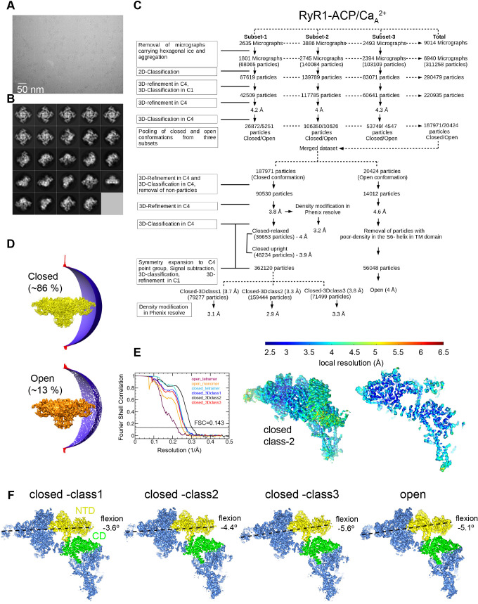 Figure 1—figure supplement 1.