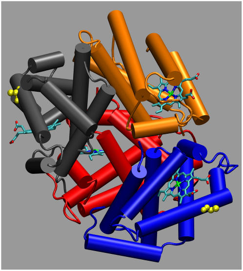 FIGURE 1