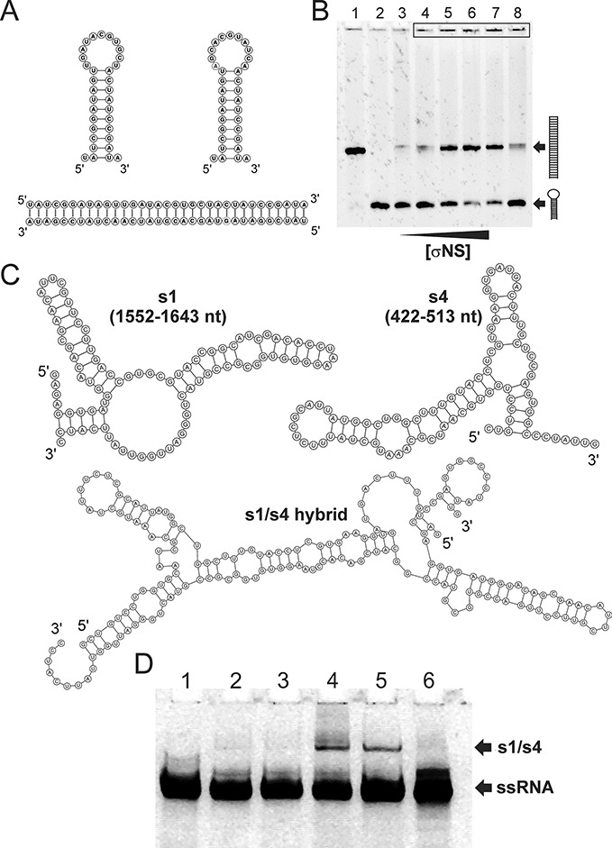 Figure 5.