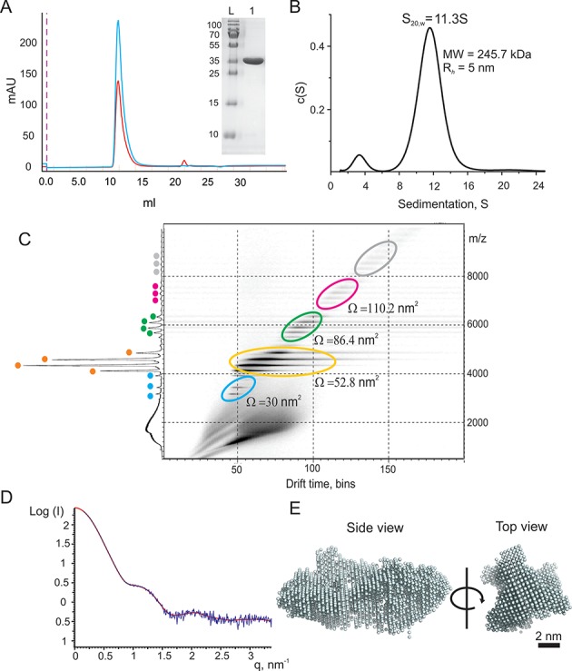 Figure 1.