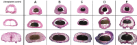 Fig 5