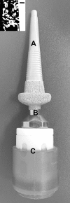 Fig 1