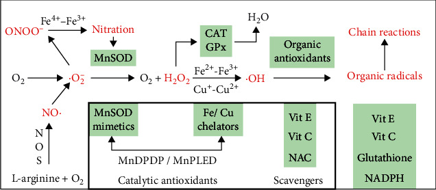 Figure 5