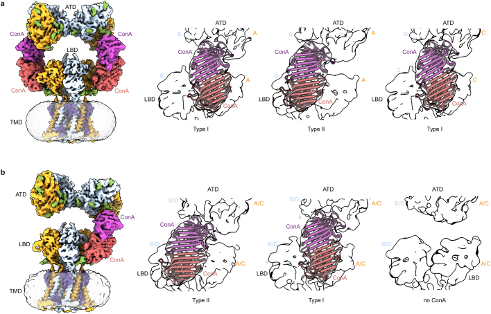 Extended Data Fig. 6