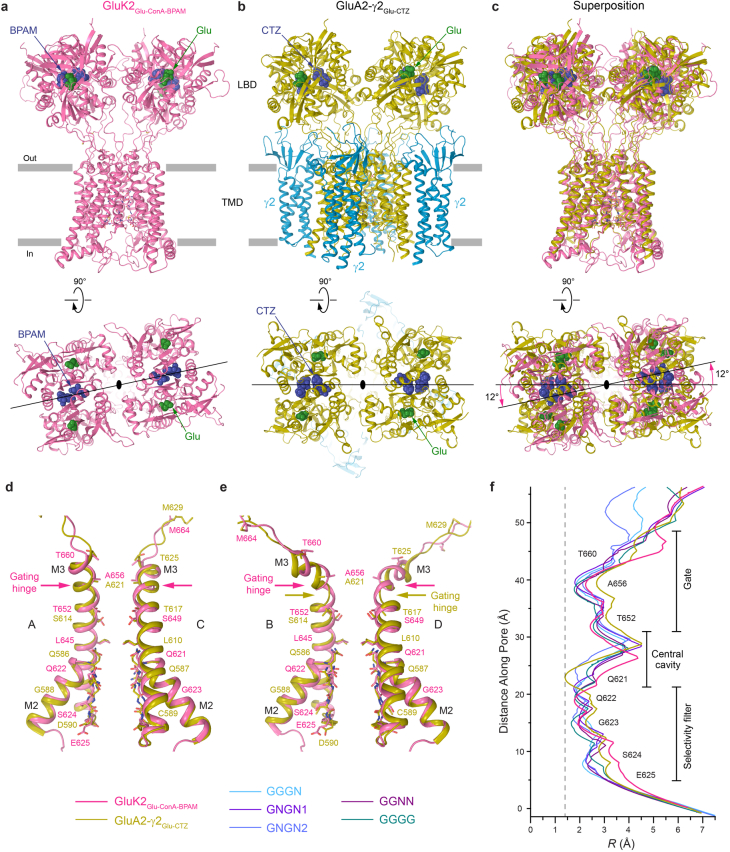 Extended Data Fig. 7