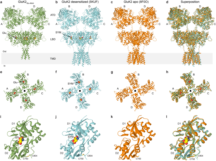 Extended Data Fig. 5