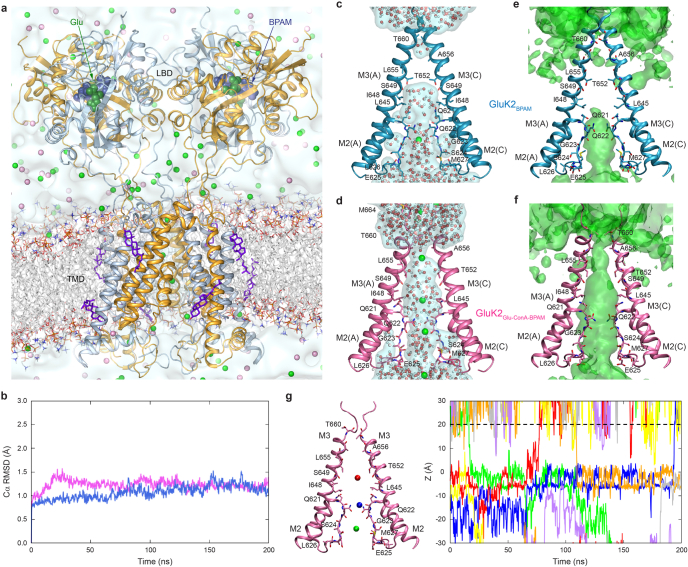 Extended Data Fig. 8