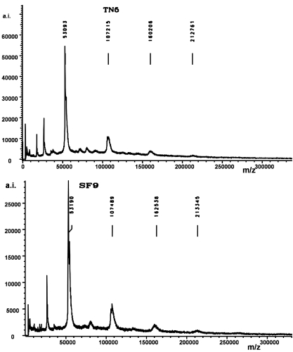 FIG. 5.