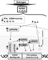Figure 7.