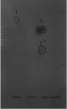 Fig. 5