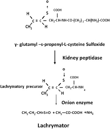 Fig. 8