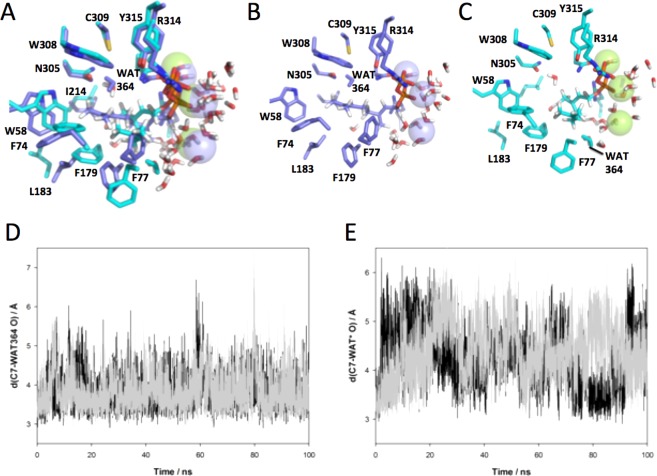 Figure 6