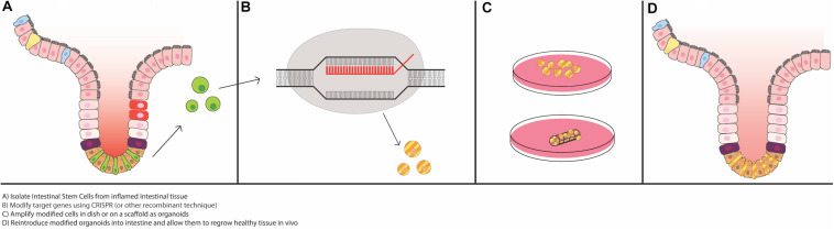 FIGURE 3