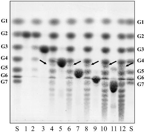 FIG. 4.