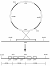 FIG. 1.