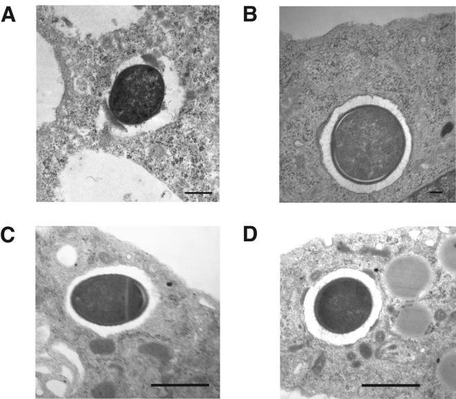 FIG. 5.