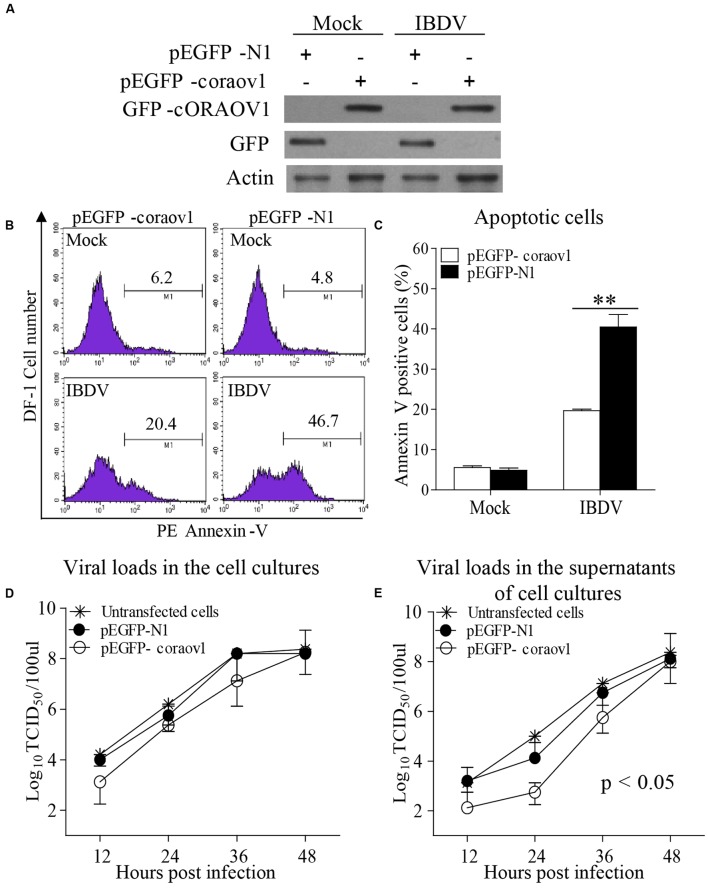 FIGURE 10