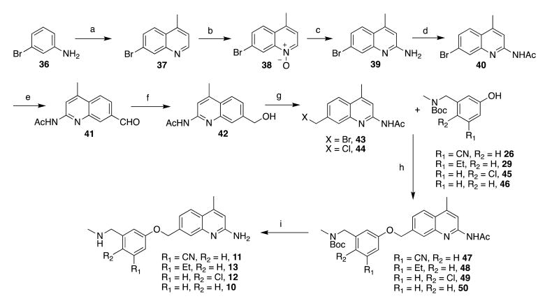 Scheme 3