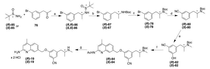 Scheme 8