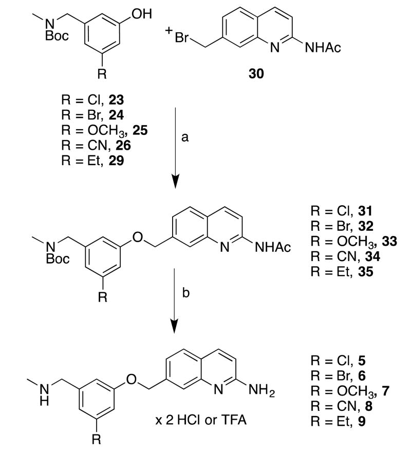 Scheme 2