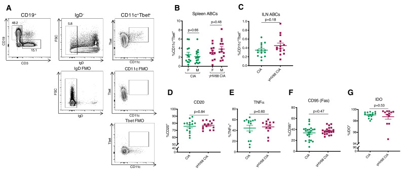 Figure 5—figure supplement 1.