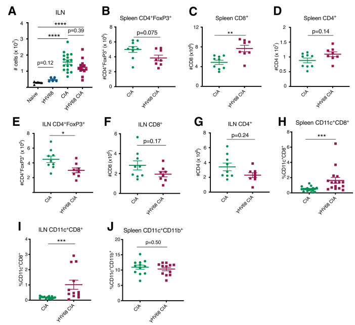 Figure 3—figure supplement 1.