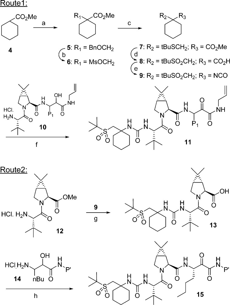 Scheme 1