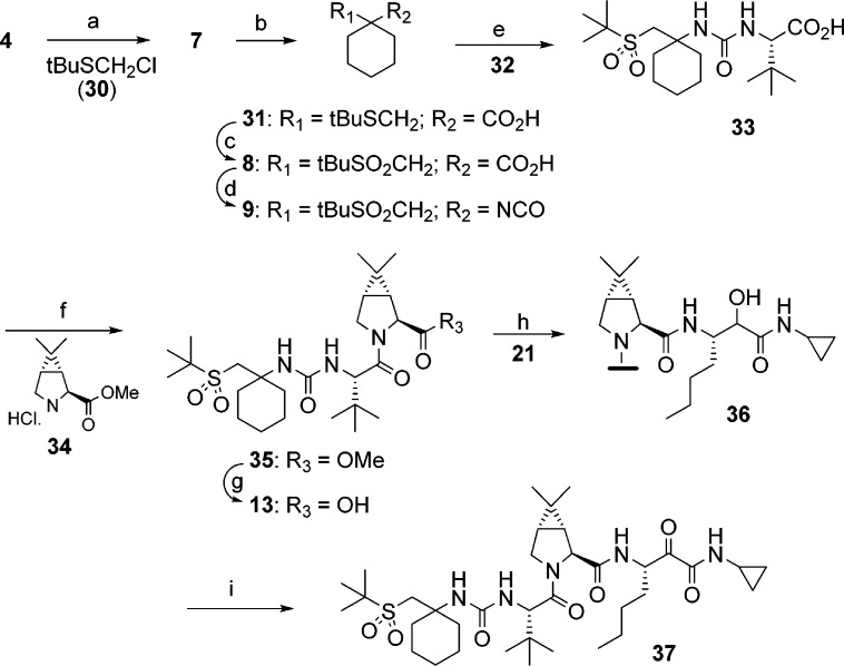 Scheme 3