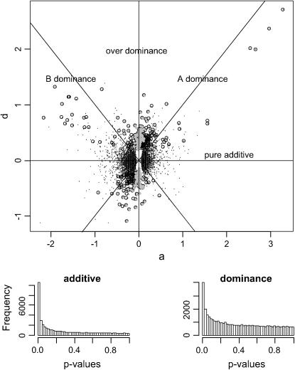 Figure 4.—