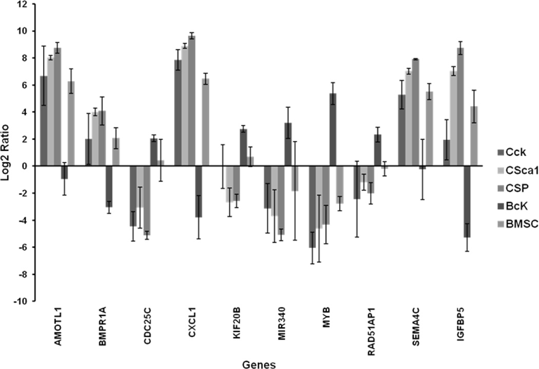 Figure 7