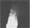 83